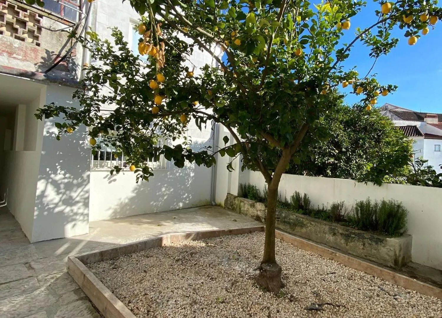 Se Velha Studios Coimbra